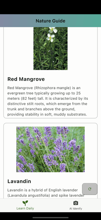 Plant identification in action