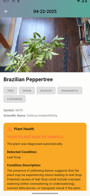 Learning and exploration